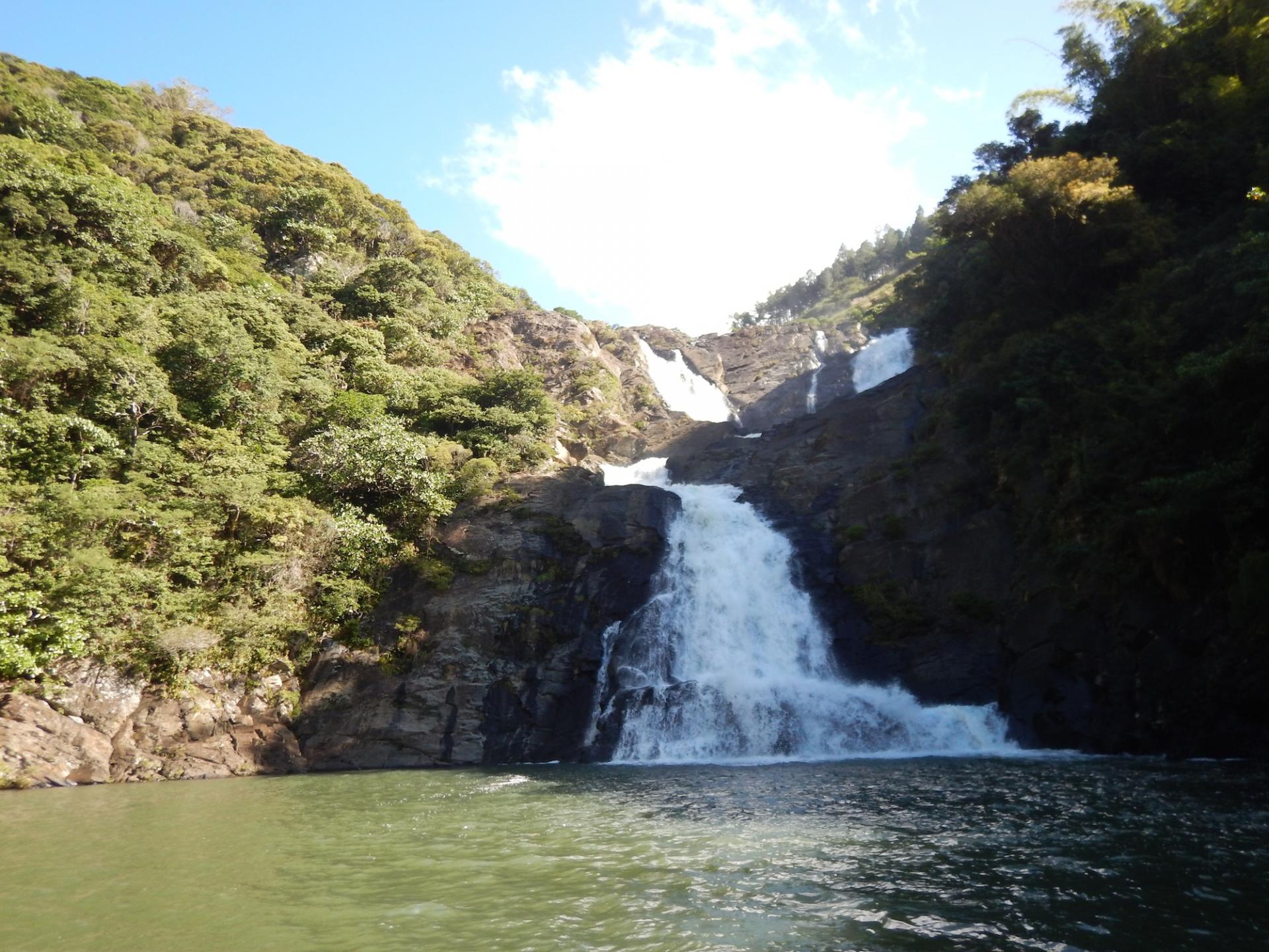Dscn0345