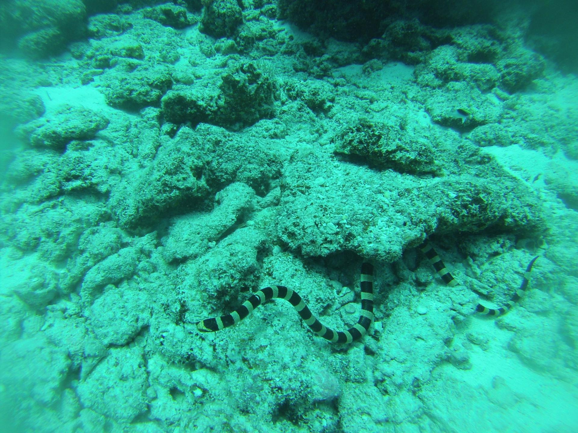 G0480514