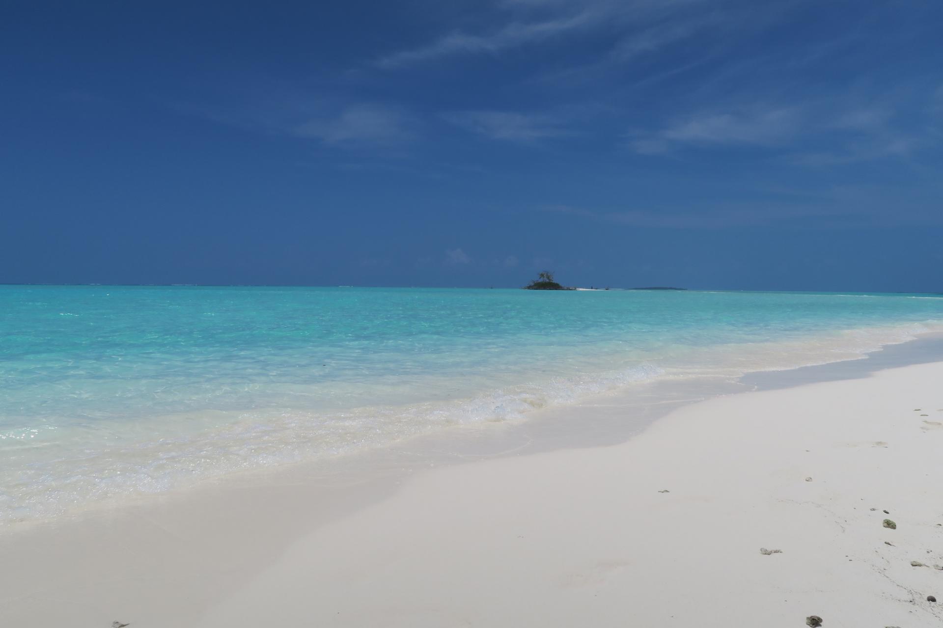 Img 0365