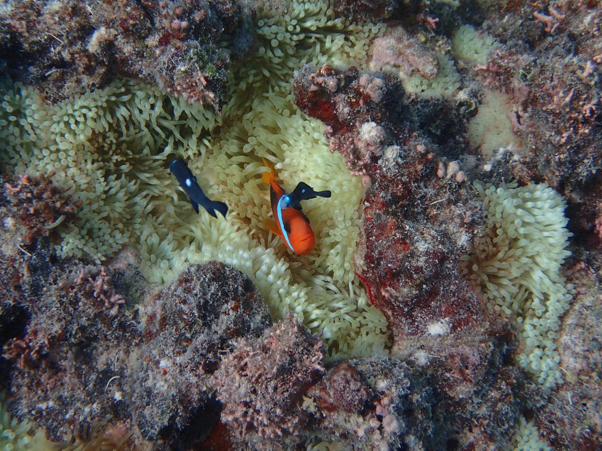 P4190128